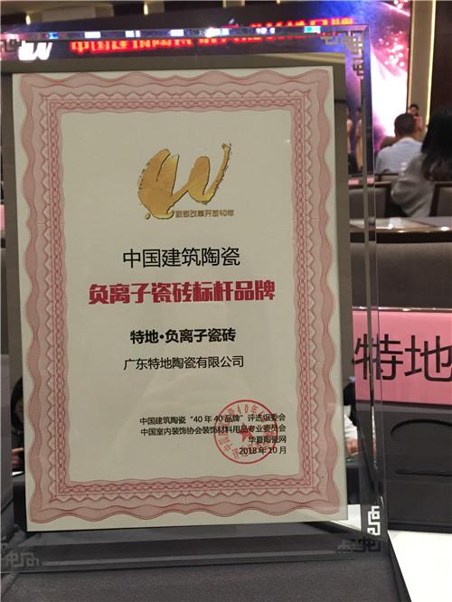 此次颁奖盛典上,特地·负离子瓷砖评选入围并荣获中国建筑陶瓷负离子